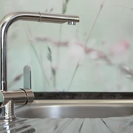 Daniel * نوردلينغن